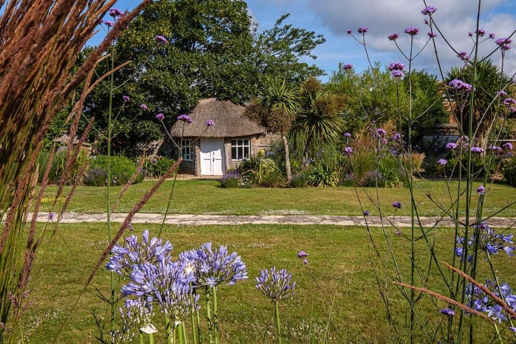 The Beach House-Devon- On The Beach- Sleeps 20 Villa Exmouth Eksteriør billede